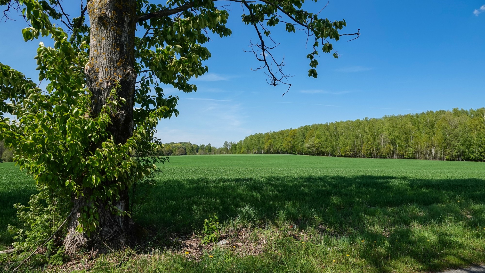 100 najpiękniejszych zdjęć 2020 roku - zdjęcie 108