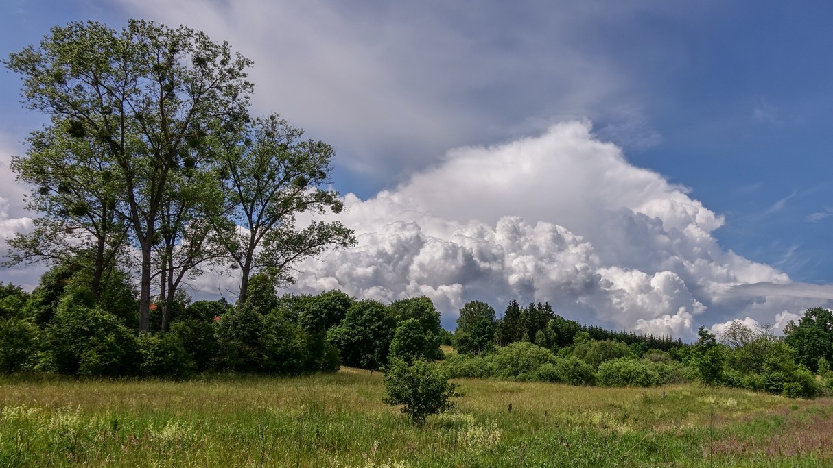 Maj w obiektywie - zdjęcie 16