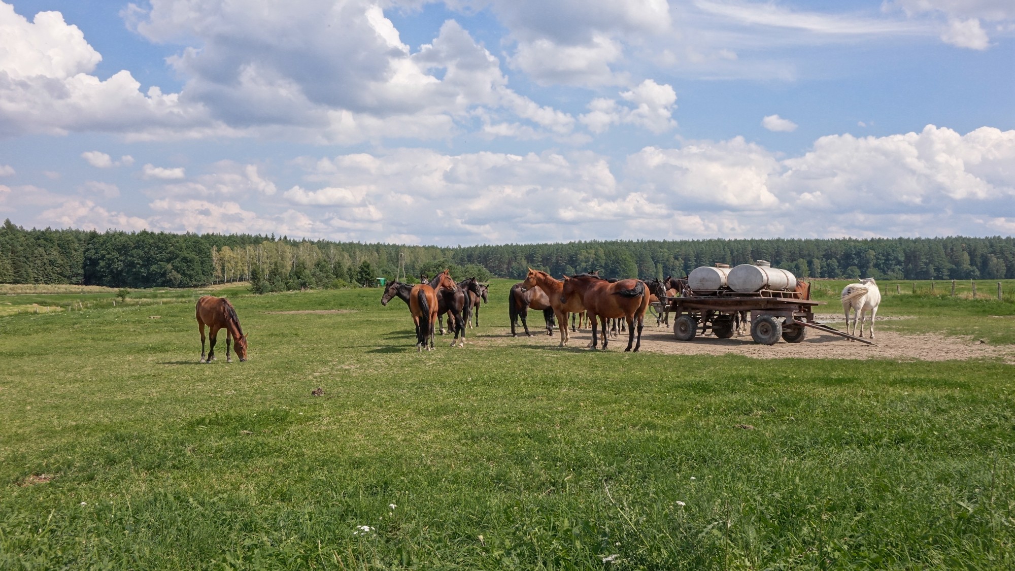 Wakacje minionych lat - zdjęcie 8