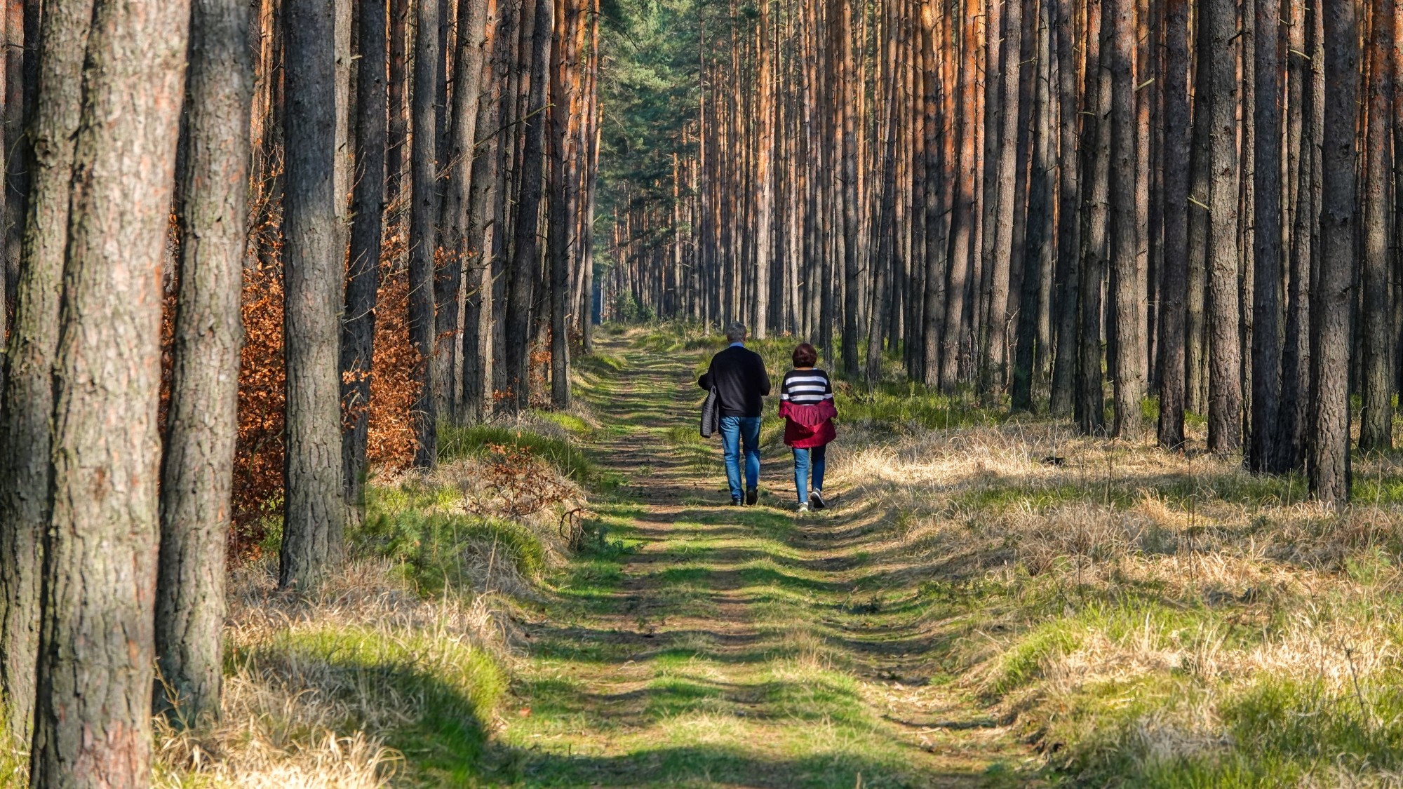 100 najpiękniejszych zdjęć 2020 roku - zdjęcie 28