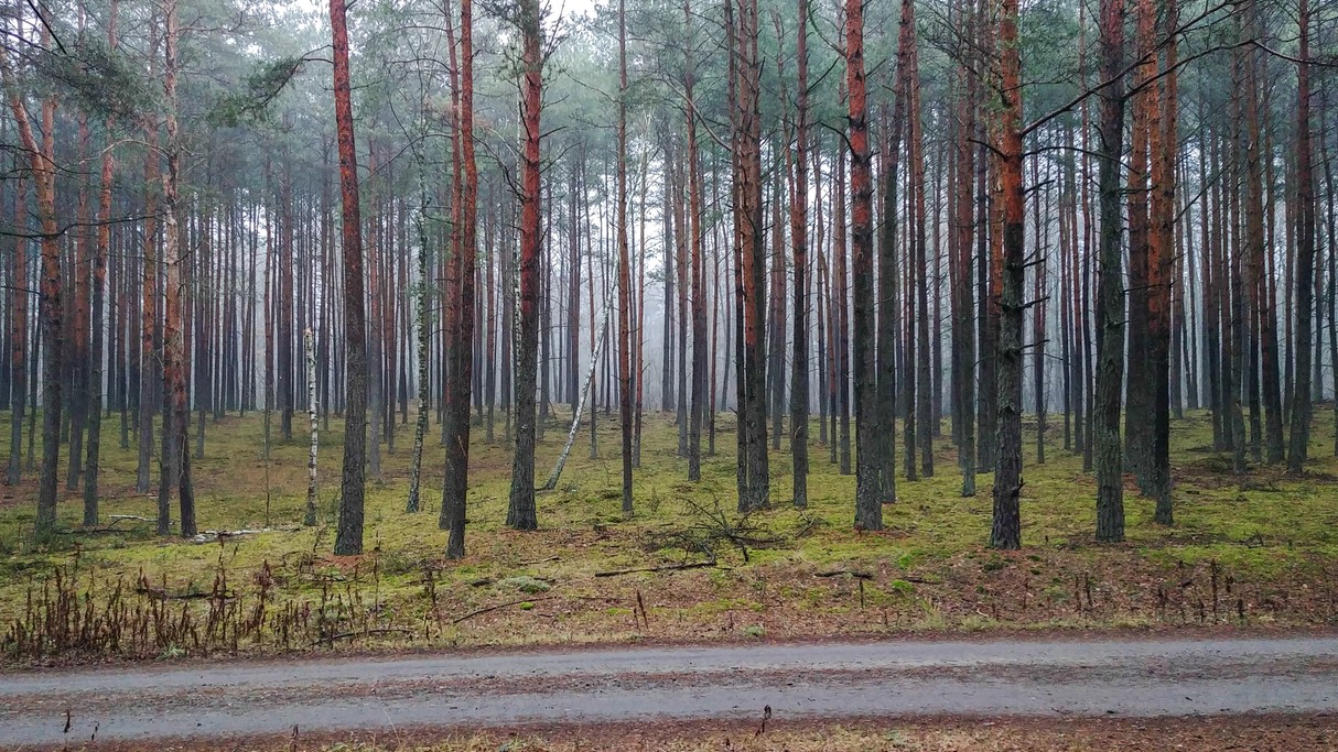 Listopad w obiektywie - zdjęcie 7