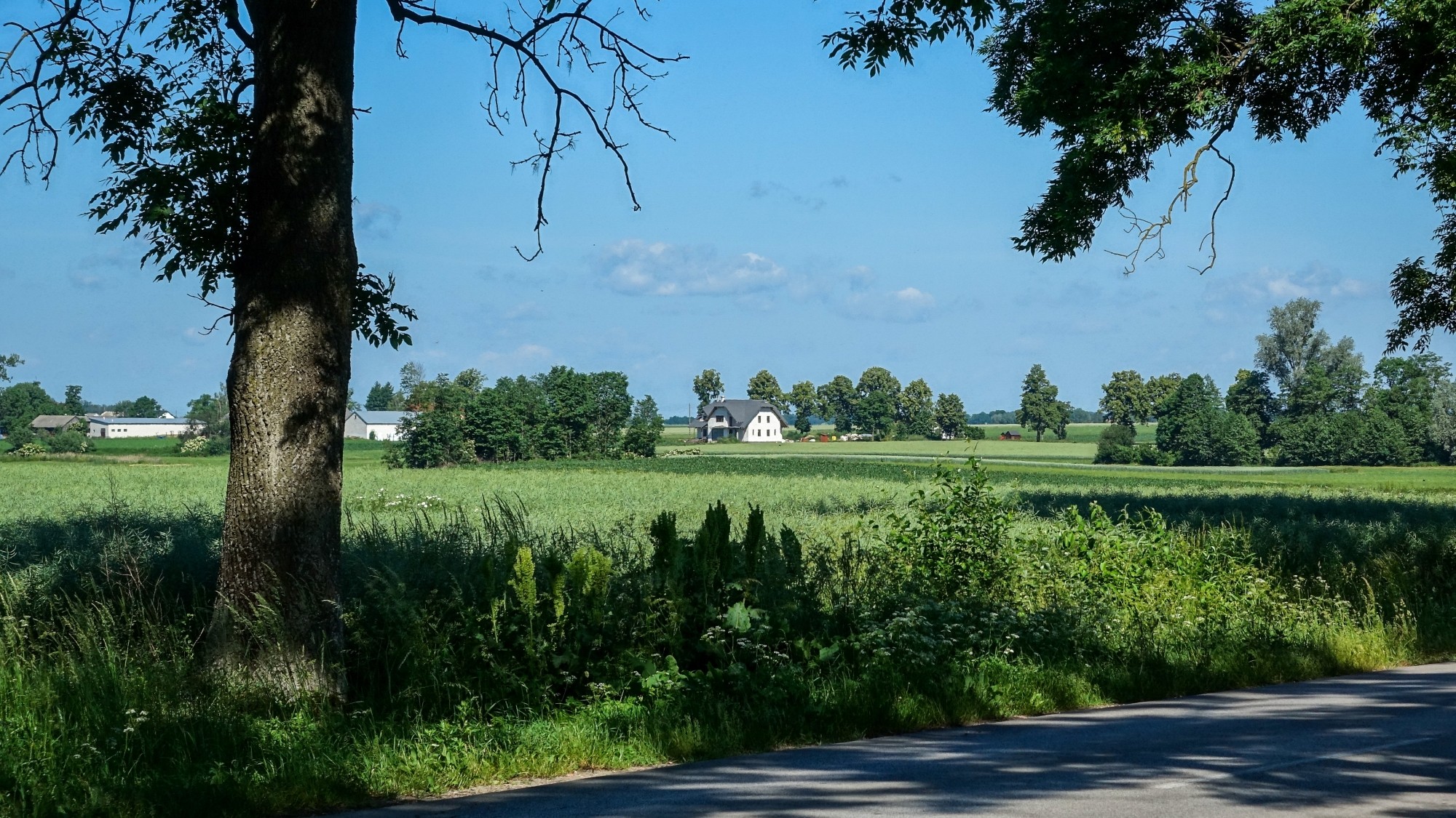 Uroki lata za miastem - zdjęcie 23