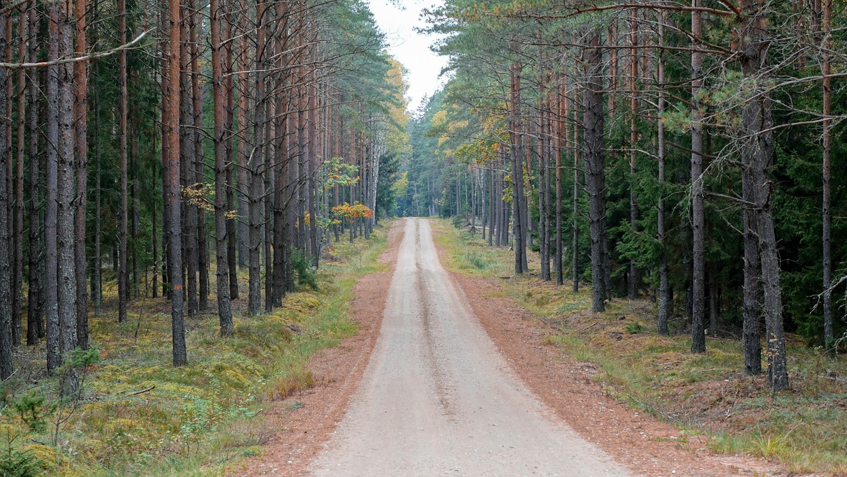 Podróż przez jesienną Polskę - zdjęcie 65