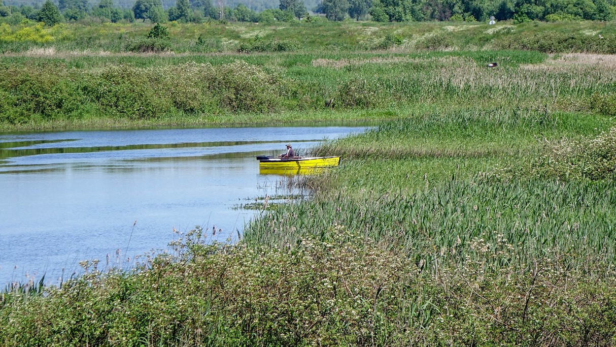 Czerwiec w obiektywie - zdjęcie 51