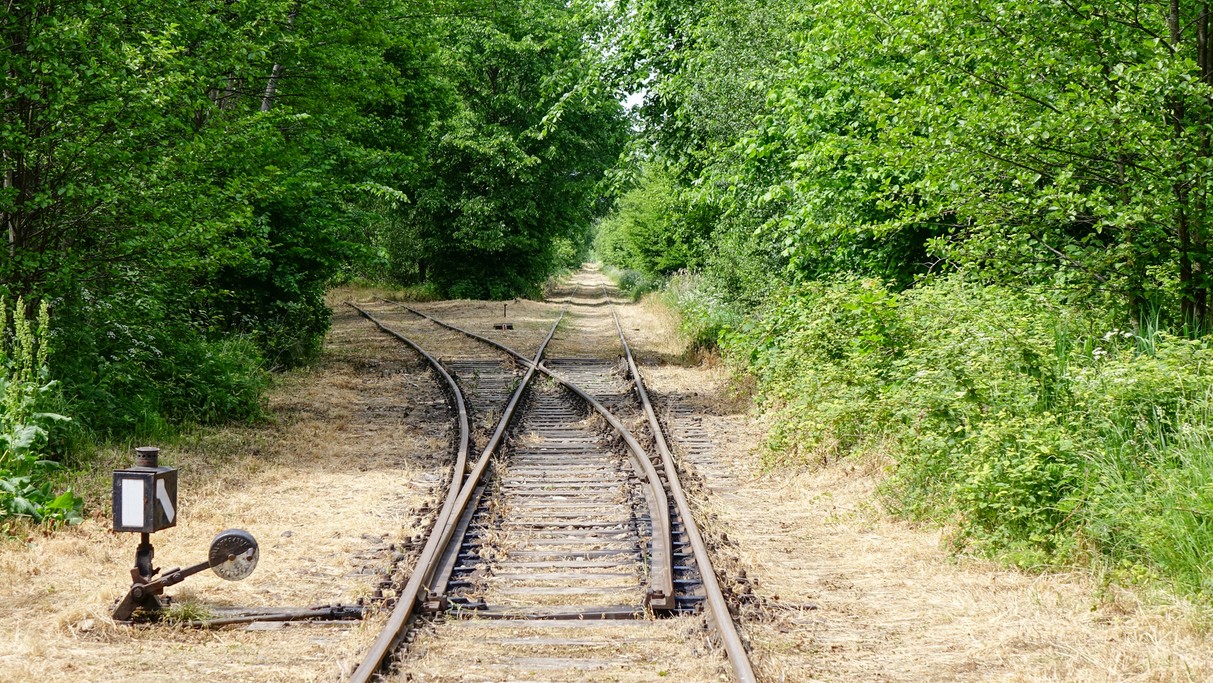 Białowieski Park Narodowy - zdjęcie 8