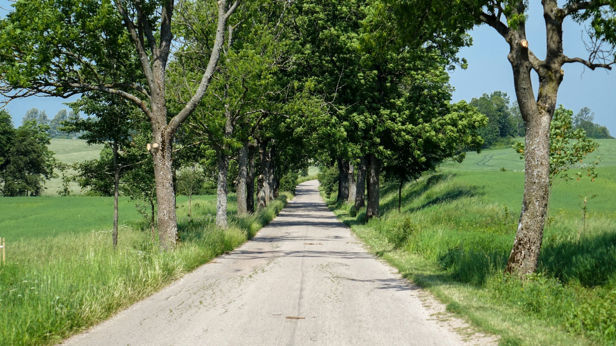 Czerwiec w obiektywie - zdjęcie 20