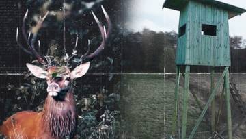 Ogromne pieniądze i kontrowersyjna rozrywka. Dziennikarska prowokacja w Polsat News Ujawnia