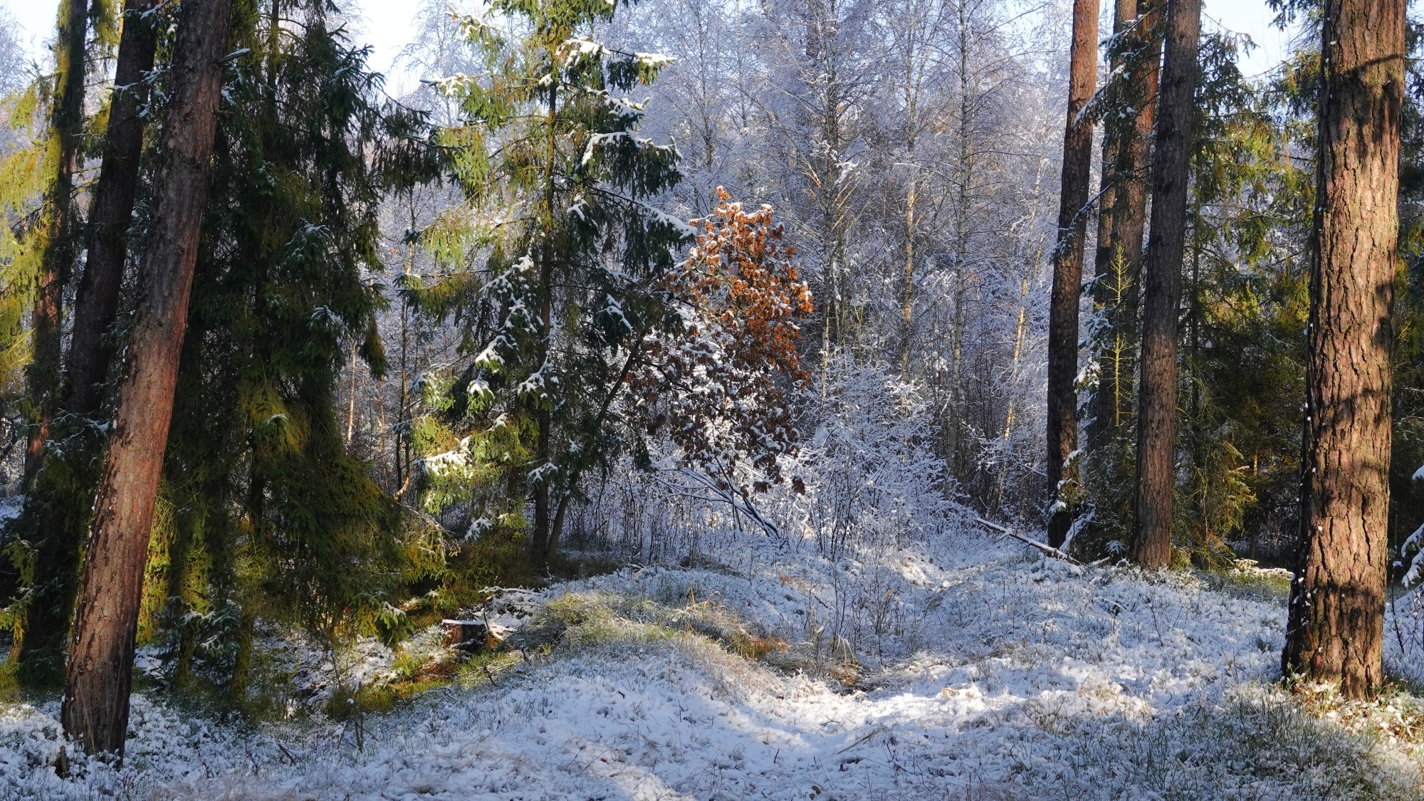 Oblicza zimy - zdjęcie 14