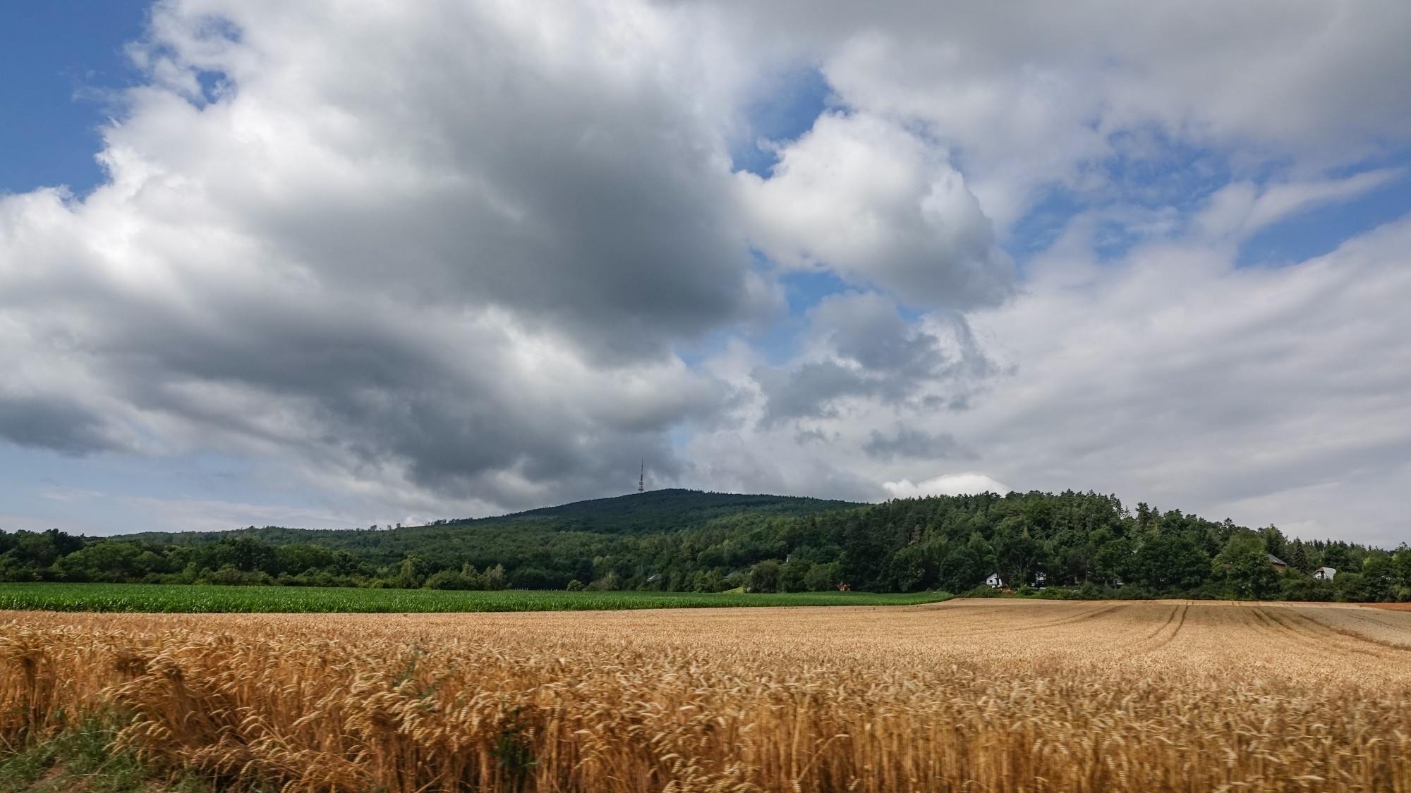Środek lata w plenerze - zdjęcie 23