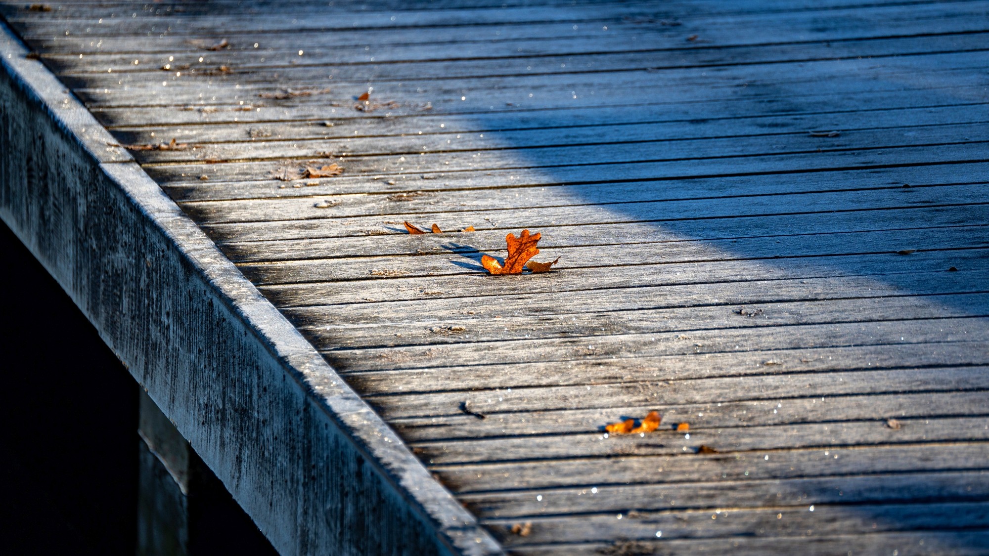 Różne oblicza zimy - zdjęcie 21