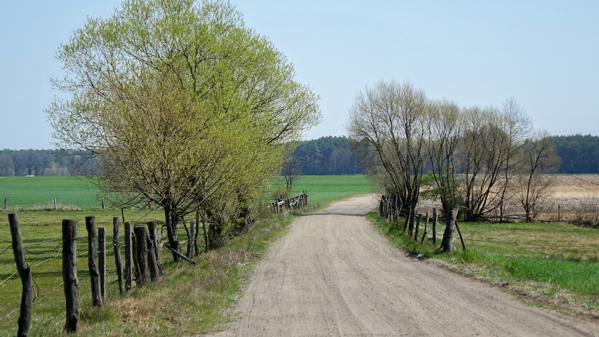 Kwiecień w obiektywie - zdjęcie 40