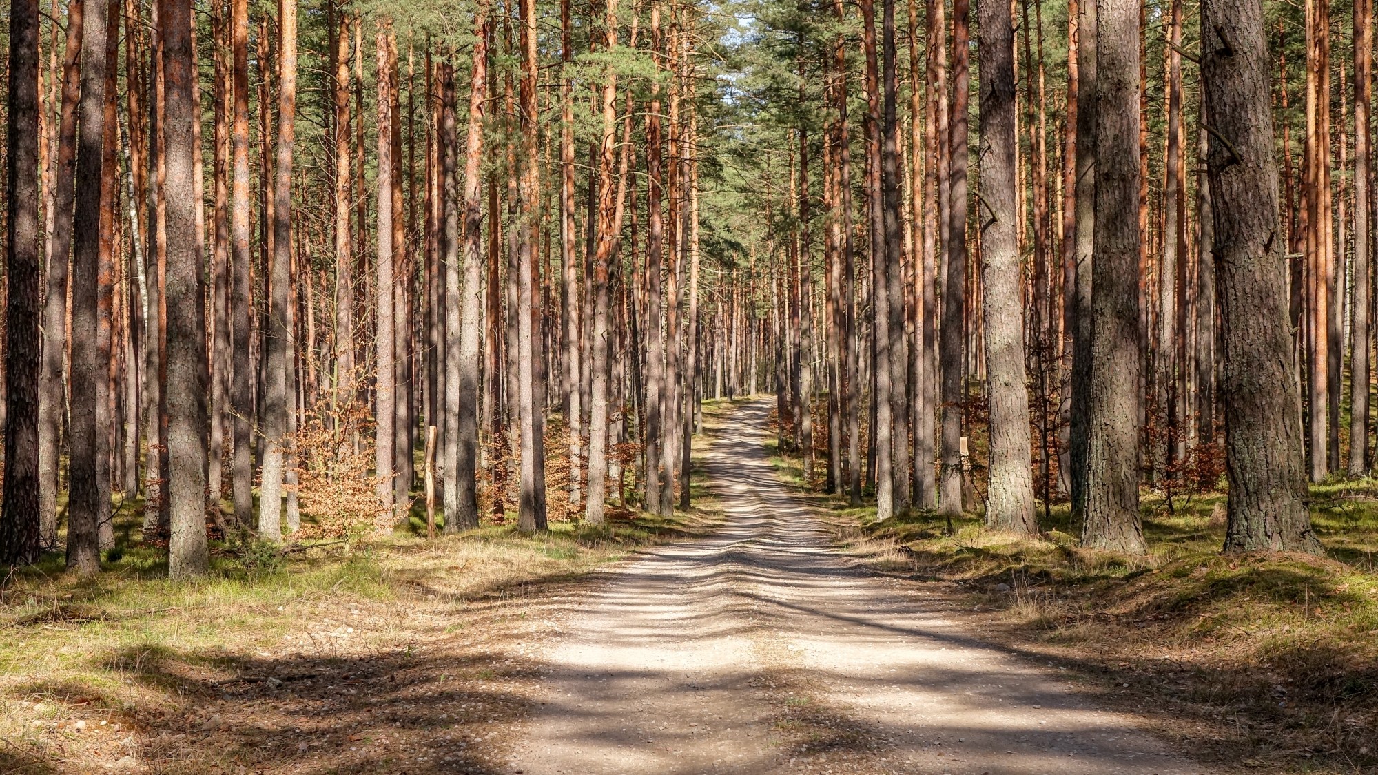 Mazury wiosną - zdjęcie 41