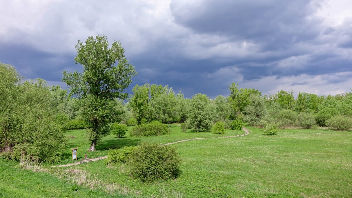 Kwiecień w obiektywie - zdjęcie 10