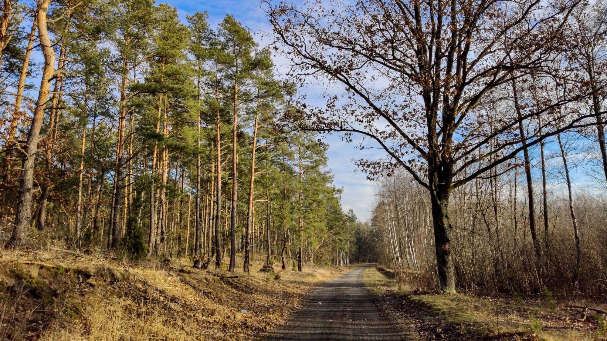 Najcieplejsza zima w historii - zdjęcie 25