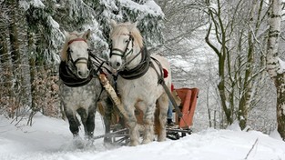 24.12.2020 11:00 Dlaczego już od 13 lat Wigilie nie przynoszą prawdziwej zimy, lecz deszcz i kilkanaście stopni ciepła?