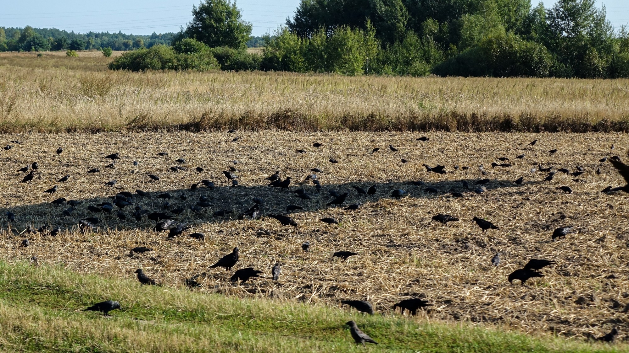 Sierpień w obiektywie - zdjęcie 46