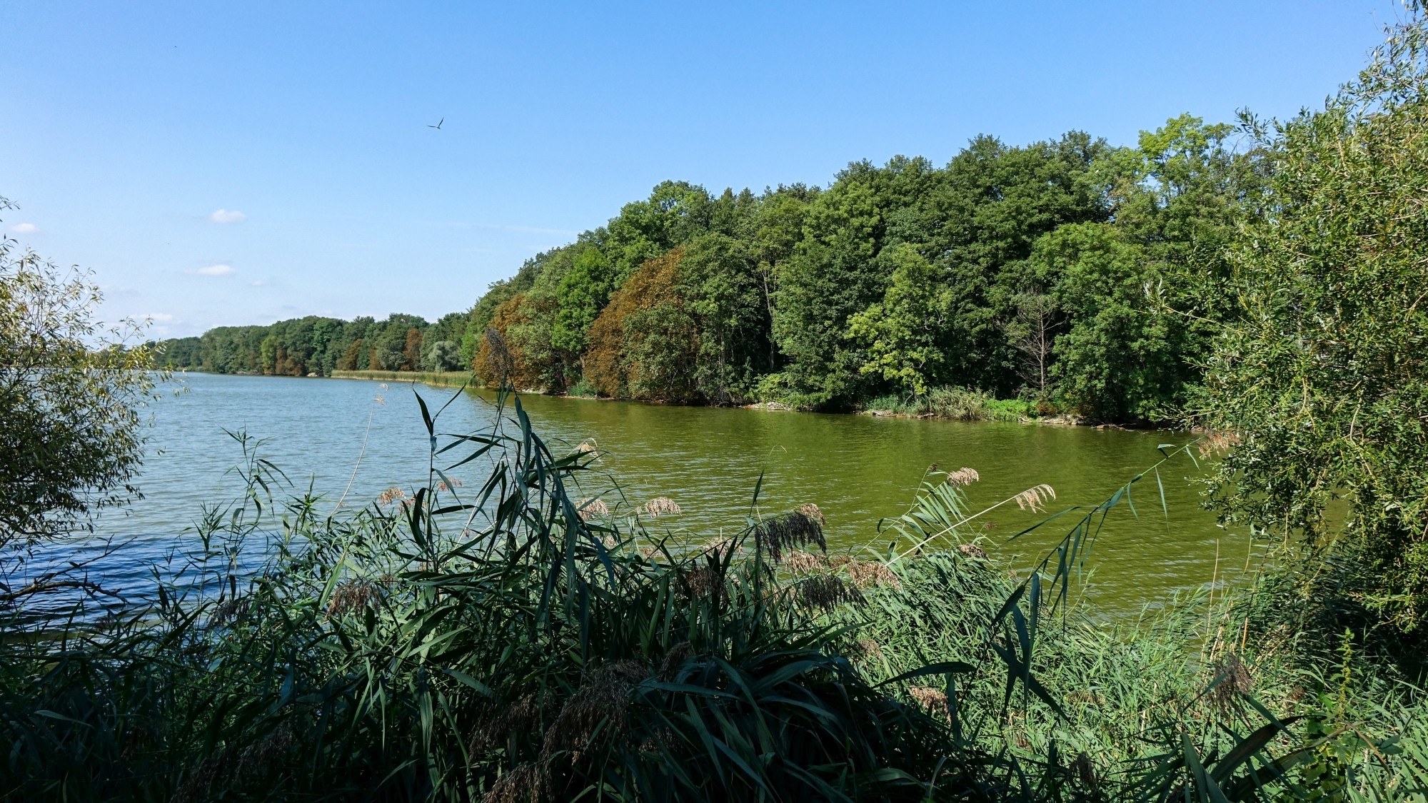 Wrzesień w obiektywie - zdjęcie 39