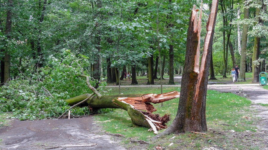 01.07.2019 23:00 Strażacy ponad tysiąc razy wyjeżdżali, aby usuwać skutki burz. Ewakuowano cztery obozy młodzieżowe