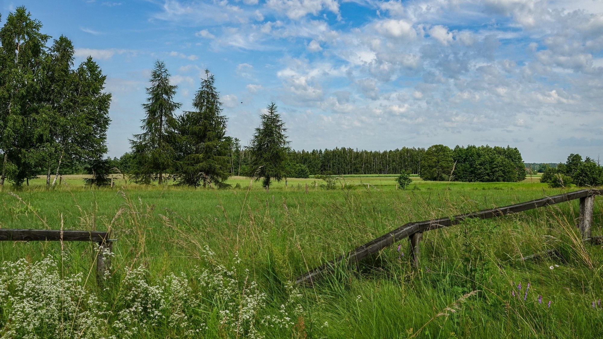 Letnie klimaty na łonie natury - zdjęcie 18