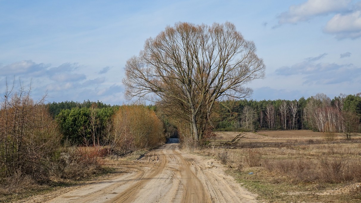 Marzec w obiektywie - zdjęcie 40