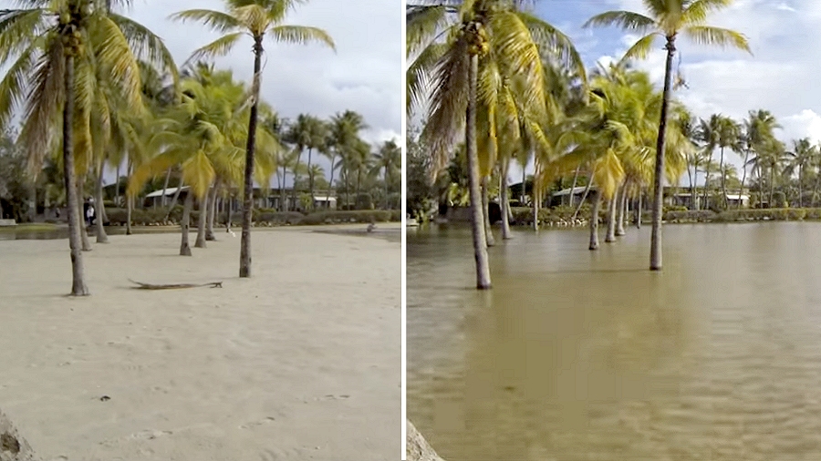 Plaża Matheson Hammock w Miami podczas odpływu (po lewej) i przypływu (po prawej). Fot. YouTube / Stuart Grant.