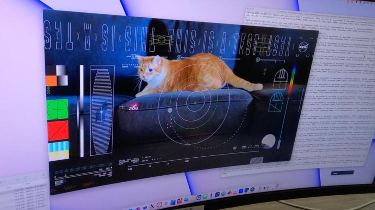 Historyczne nagranie. NASA pokazała "kota z kosmosu"