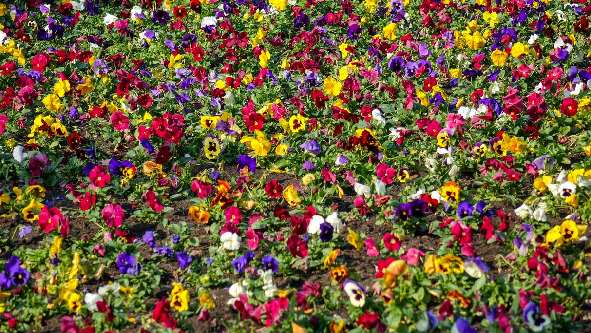 Październik w obiektywie - zdjęcie 66