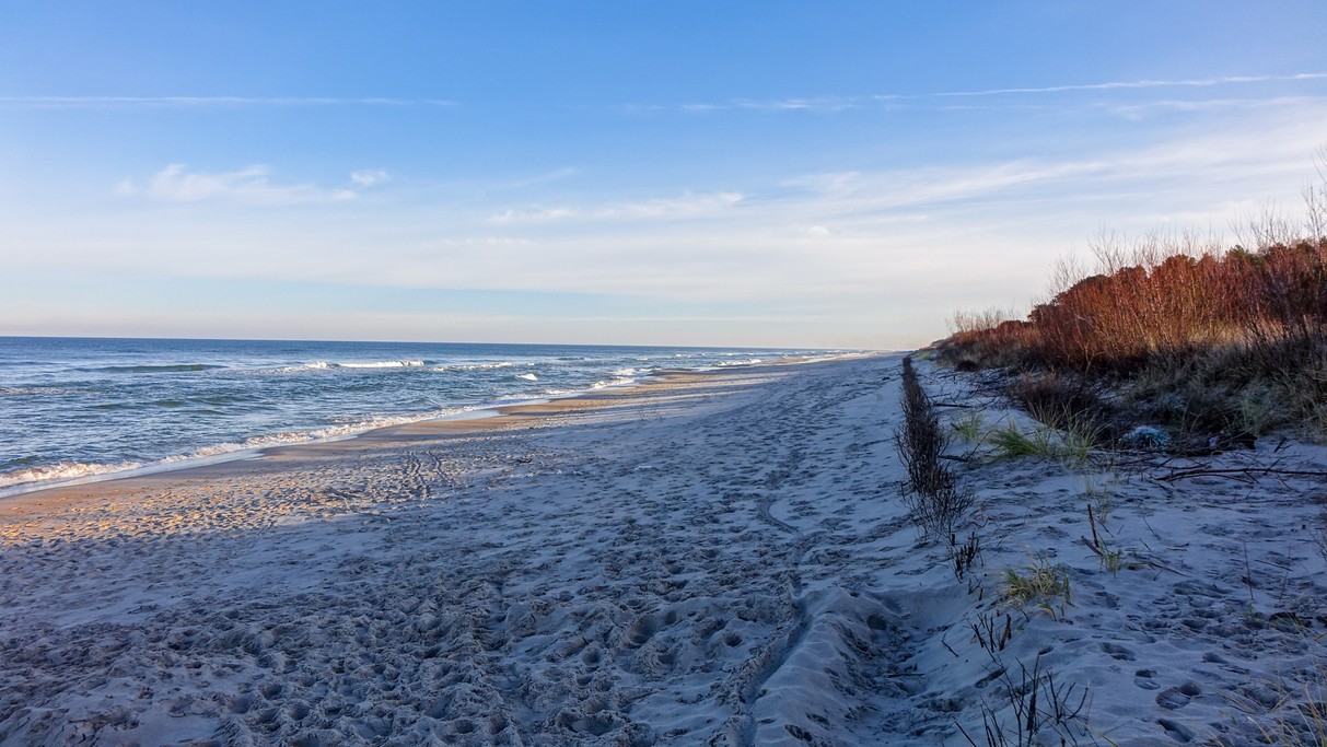 Nad morzem, jeziorami i rzekami - zdjęcie 23