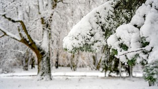 21.02.2023 06:00 Nadchodzi kolejny podmuch zimy. Białe krajobrazy niemal w całej Polsce. Kiedy?