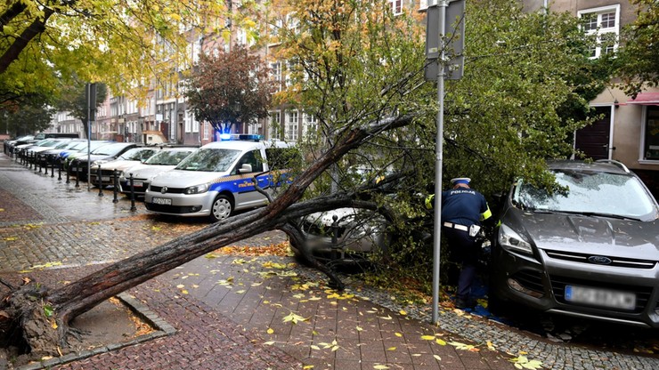 Silny wiatr zniszczył mobilny punkt pobrań w Gdańsku