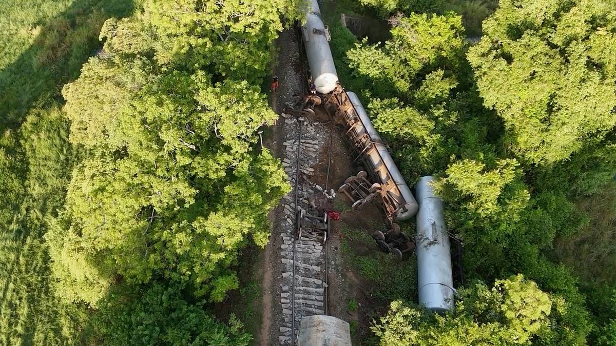 Stado słoni nagle wbiegło pod pociąg. Maszynista nie miał szans wyhamować