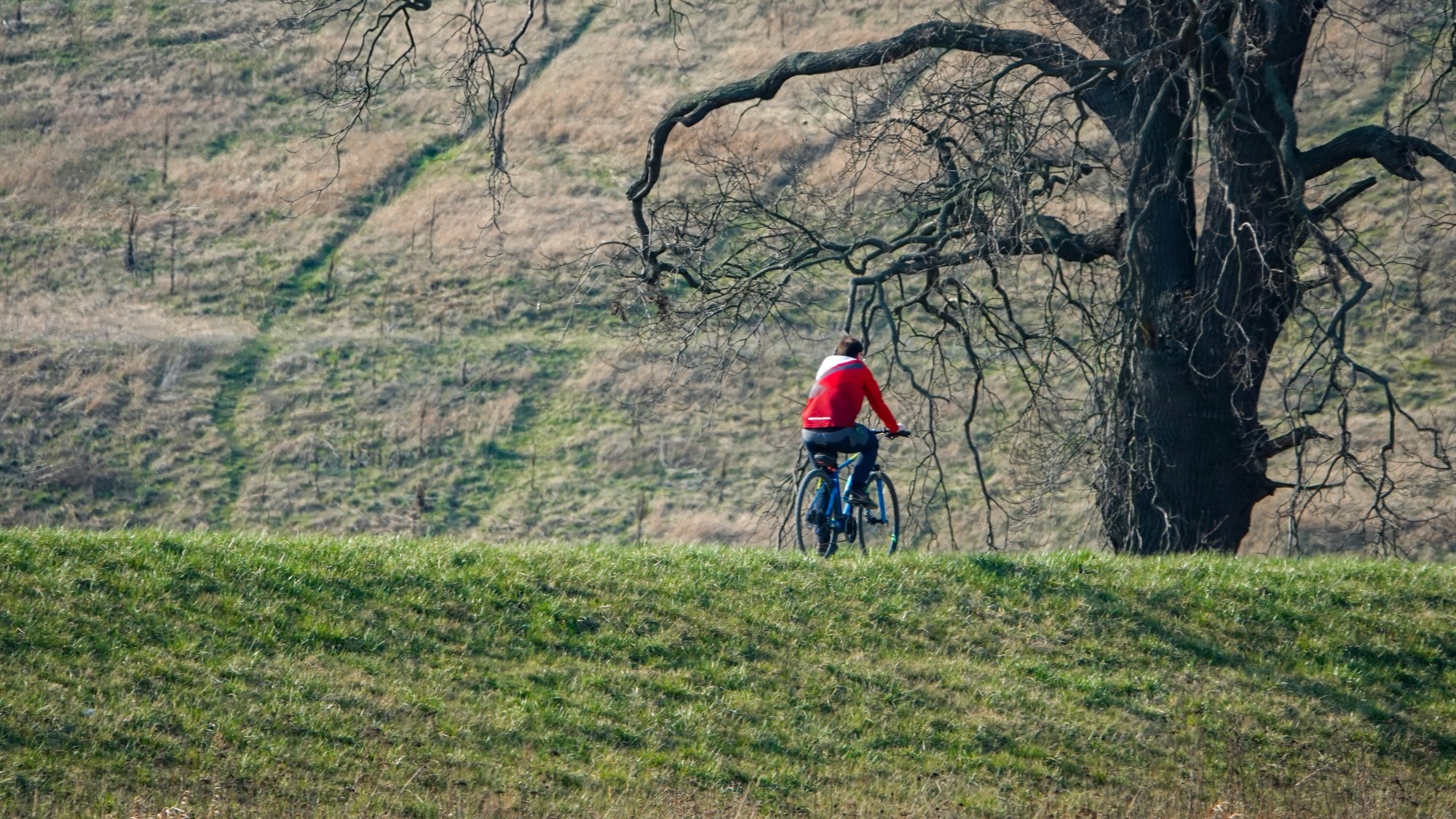 Marzec w obiektywie - zdjęcie 60