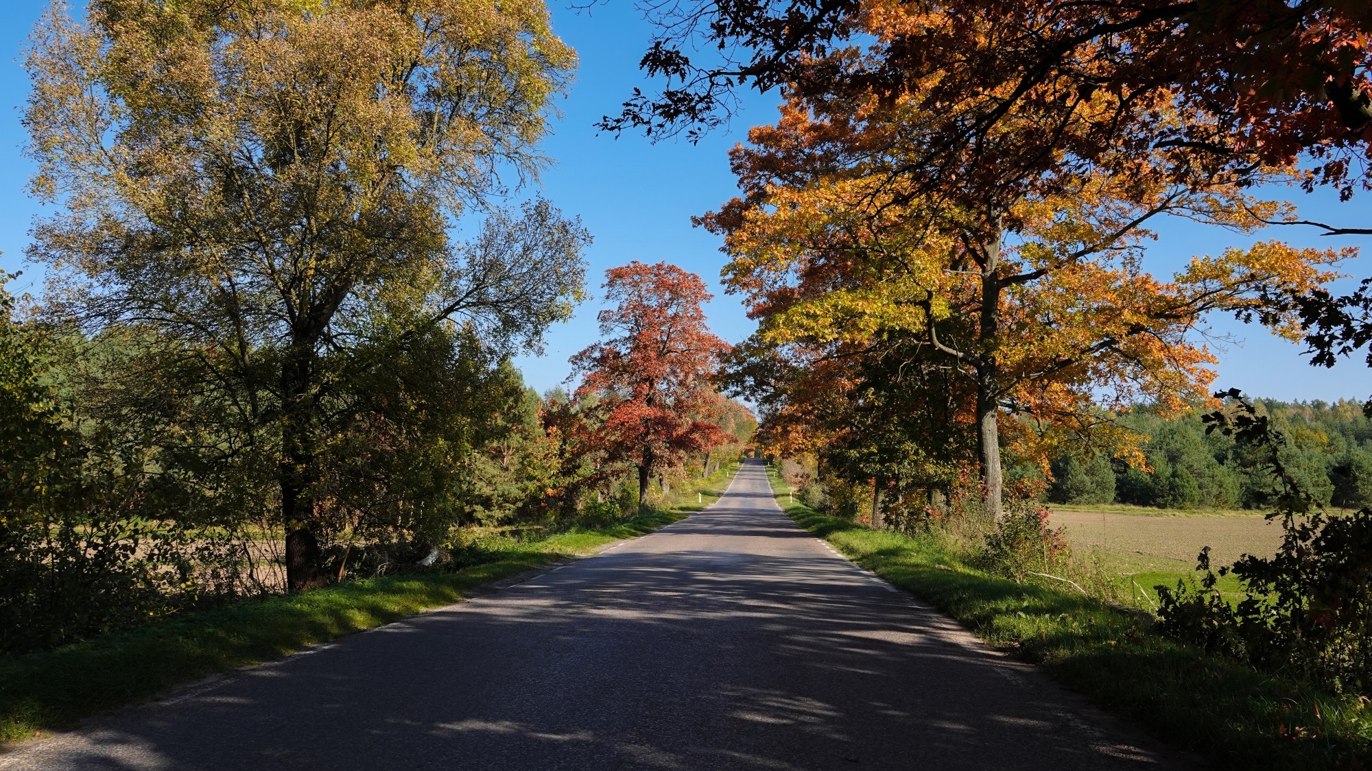 Jesienne klimaty - zdjęcie 24