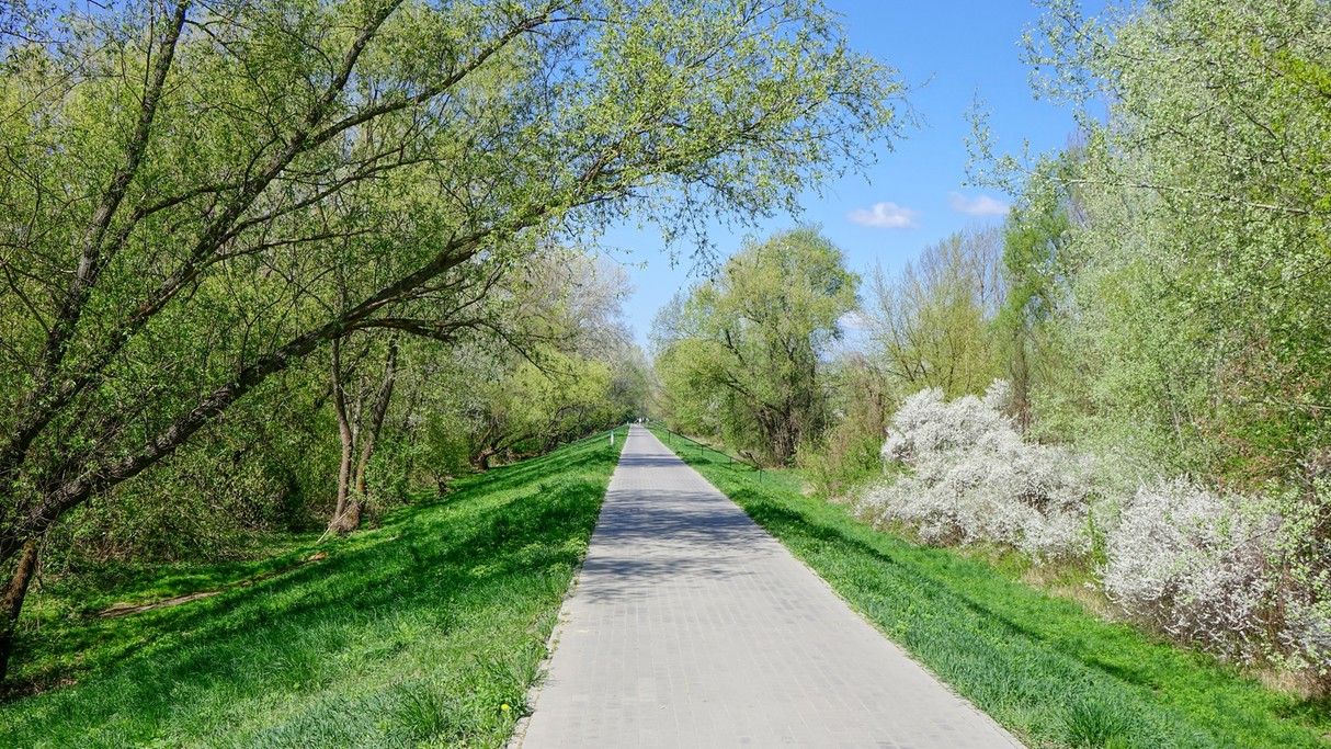 Polskie krajobrazy w 2018 roku - zdjęcie 4
