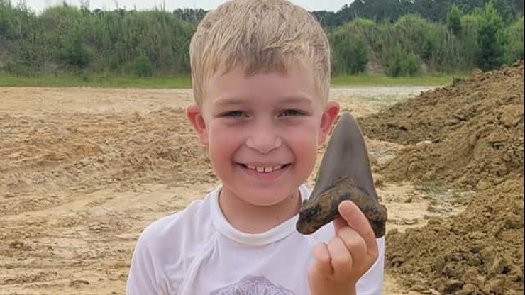 USA. Niezwykłe znalezisko. Ośmiolatek wykopał ząb prehistorycznego rekina