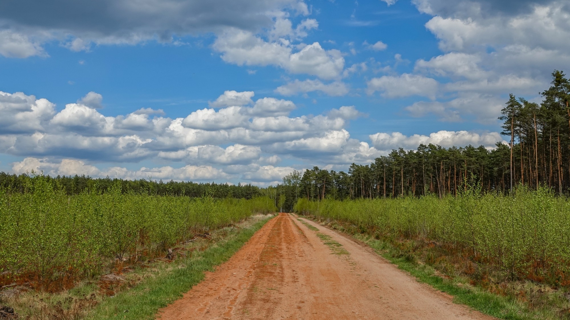 Uroki zielonej pory roku - zdjęcie 23