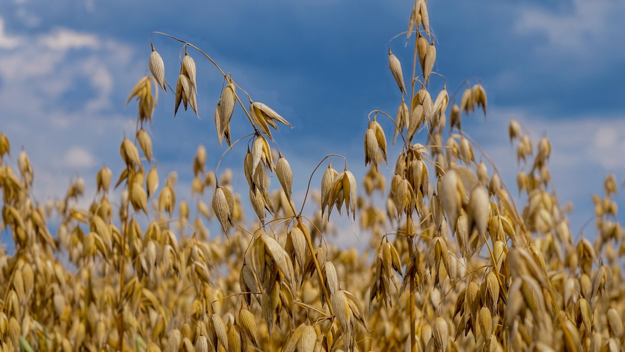 Od morza po góry - zdjęcie 25