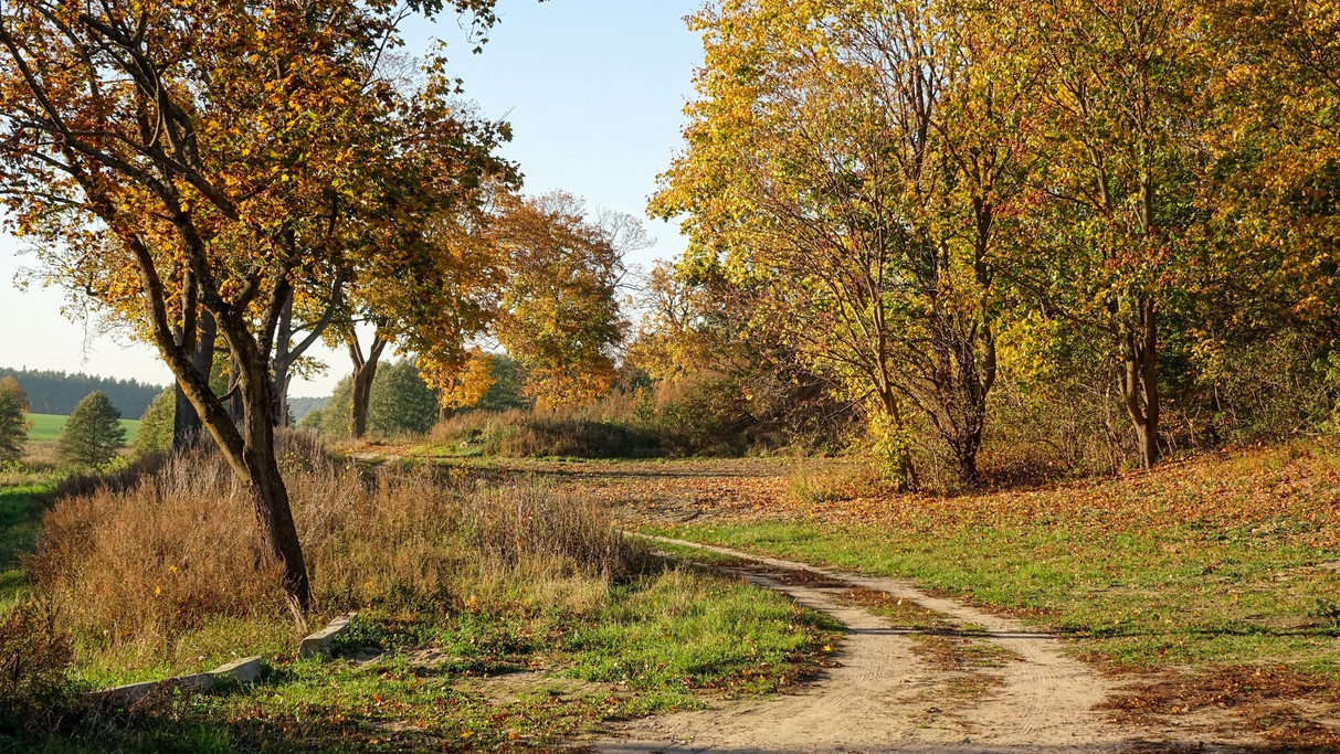 Barwy jesieni - zdjęcie 4