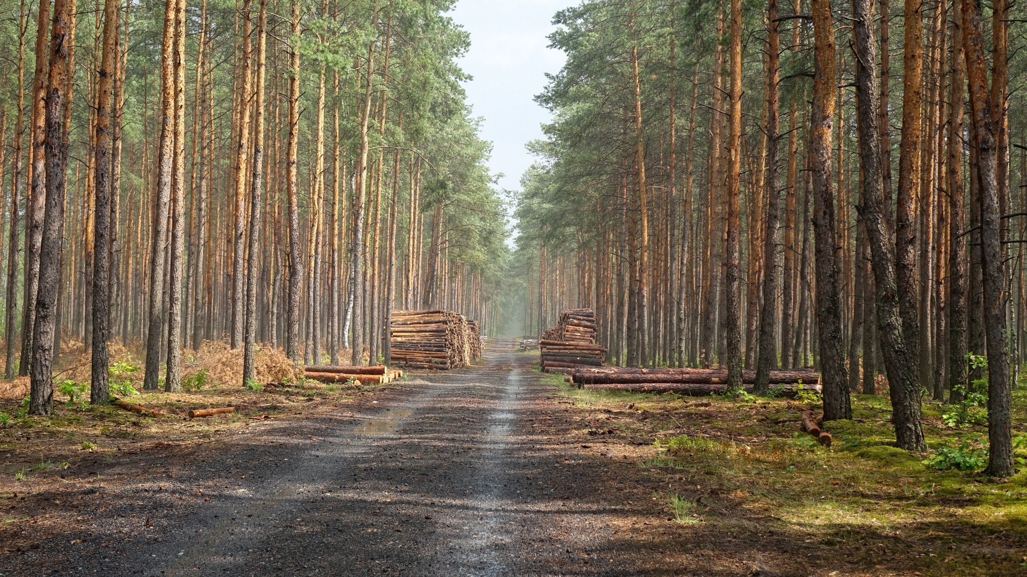 Lipiec w obiektywie - zdjęcie 35