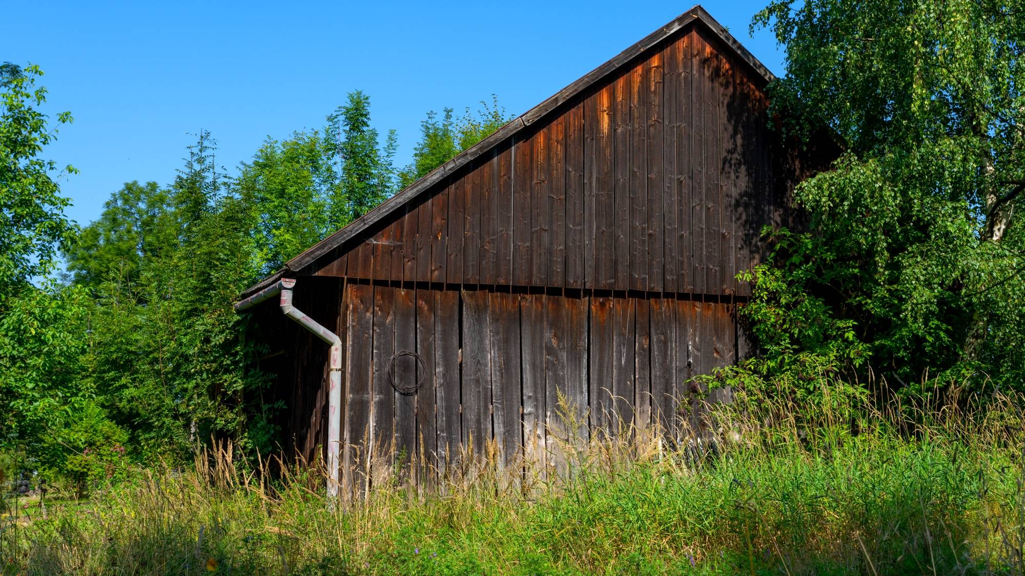 Kolory lata - zdjęcie 30