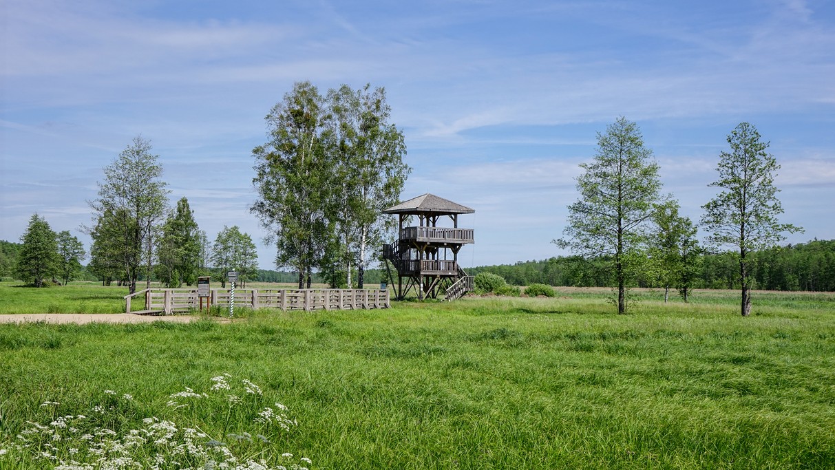 Białowieski Park Narodowy - zdjęcie 13