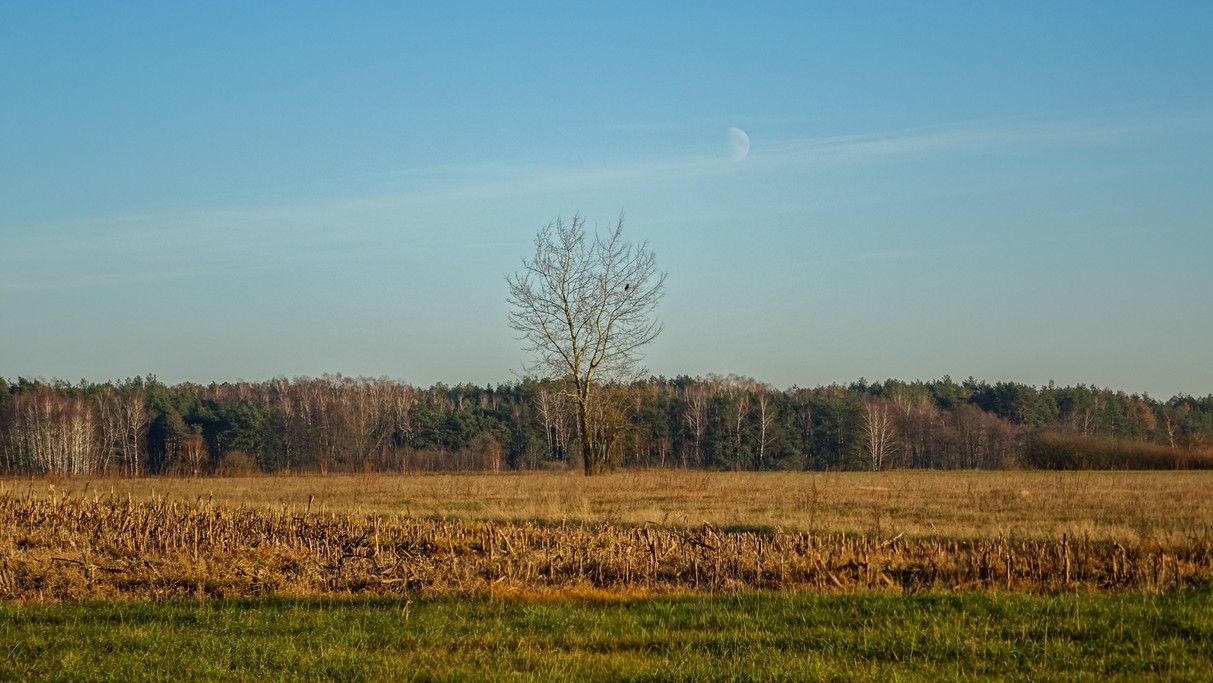Listopad w obiektywie - zdjęcie 18