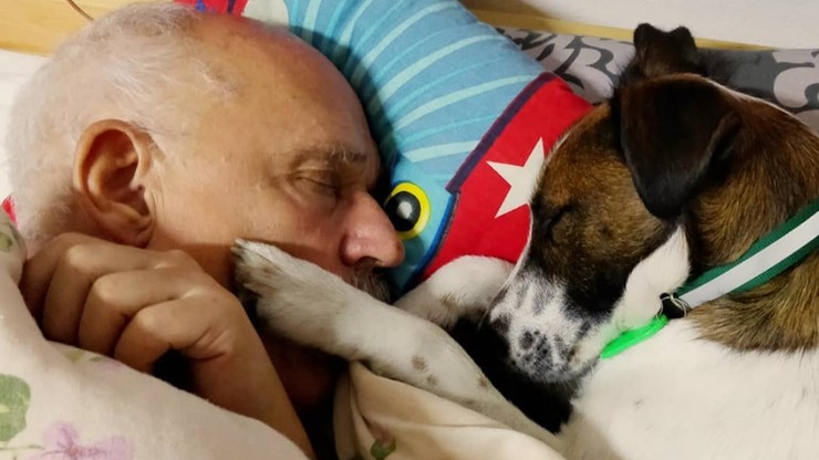 Korwin-Mikke opublikował zdjęcie z psem w łóżku. Tak odpowiedział Cimoszewiczowi