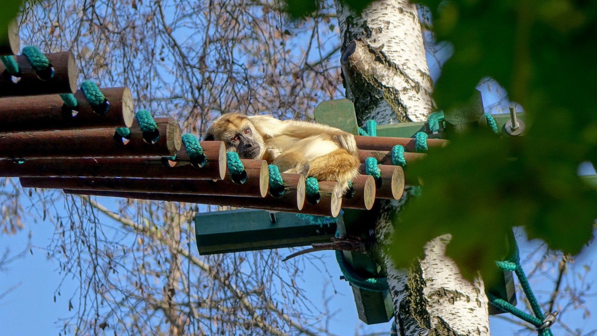 Z kamerą wśród zwierząt - zdjęcie 68