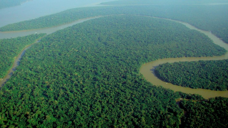 Na Facebooku kupisz... lasy Amazonii. Witryna nie zamknie nielegalnych aukcji