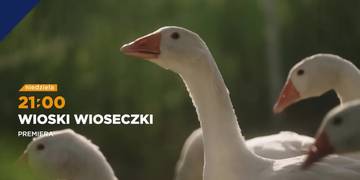 Wioski wioseczki