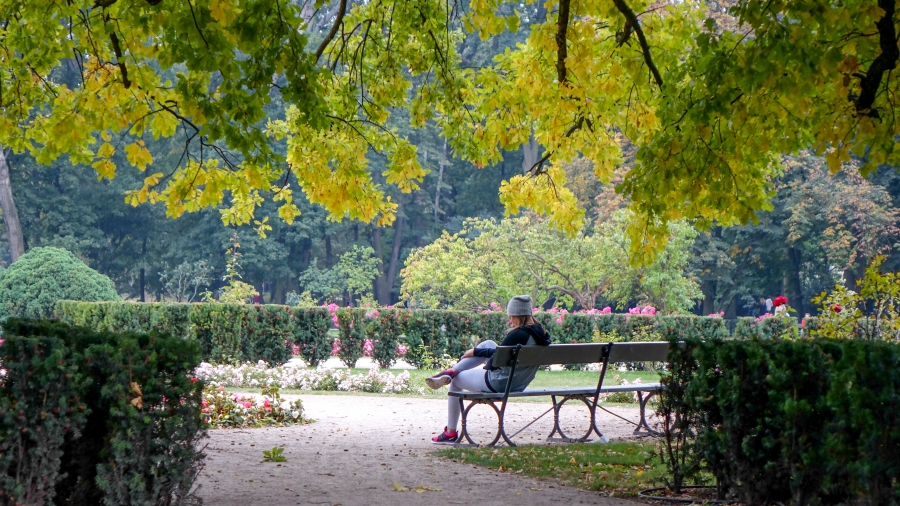 05.09.2018 07:00 Początek września bardzo ciepły, słoneczny, ale też miejscami burzowy. Jaki będzie weekend?