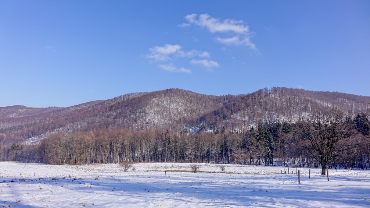 Luty w obiektywie - zdjęcie 28