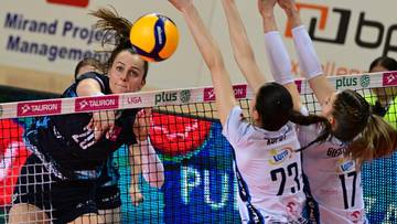 Tauron Liga siatkarek. Wyniki i skróty meczów 22. kolejki (WIDEO)