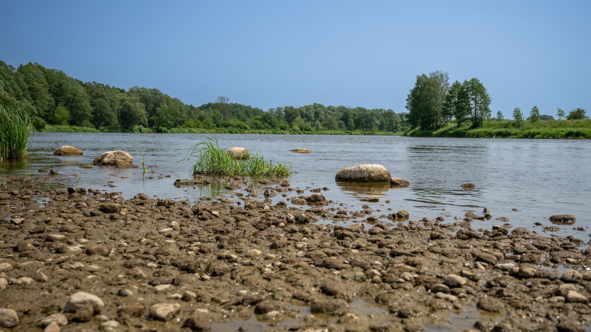 Lato na prowincji - zdjęcie 40